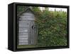 Outhouse Built in 1929 Surrounded by Blooming Elderberrys, Homer, Alaska, USA-Dennis Flaherty-Framed Stretched Canvas