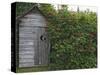 Outhouse Built in 1929 Surrounded by Blooming Elderberrys, Homer, Alaska, USA-Dennis Flaherty-Stretched Canvas