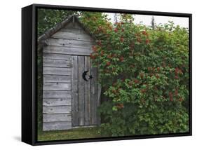 Outhouse Built in 1929 Surrounded by Blooming Elderberrys, Homer, Alaska, USA-Dennis Flaherty-Framed Stretched Canvas