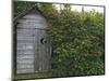 Outhouse Built in 1929 Surrounded by Blooming Elderberrys, Homer, Alaska, USA-Dennis Flaherty-Mounted Photographic Print