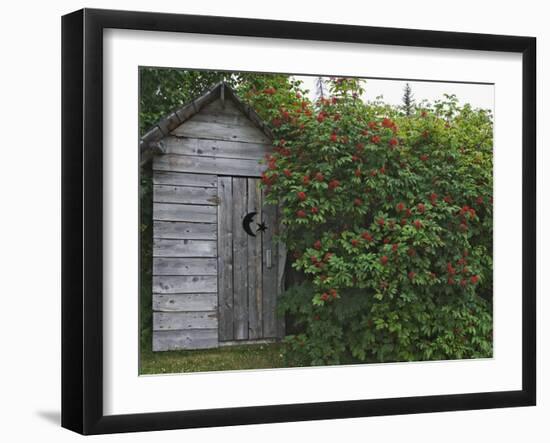 Outhouse Built in 1929 Surrounded by Blooming Elderberrys, Homer, Alaska, USA-Dennis Flaherty-Framed Photographic Print