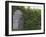 Outhouse Built in 1929 Surrounded by Blooming Elderberrys, Homer, Alaska, USA-Dennis Flaherty-Framed Photographic Print