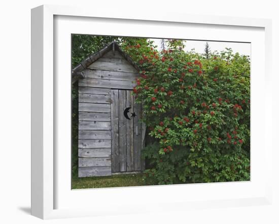 Outhouse Built in 1929 Surrounded by Blooming Elderberrys, Homer, Alaska, USA-Dennis Flaherty-Framed Photographic Print