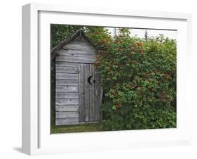 Outhouse Built in 1929 Surrounded by Blooming Elderberrys, Homer, Alaska, USA-Dennis Flaherty-Framed Photographic Print