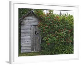 Outhouse Built in 1929 Surrounded by Blooming Elderberrys, Homer, Alaska, USA-Dennis Flaherty-Framed Photographic Print