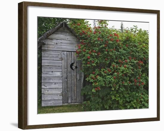 Outhouse Built in 1929 Surrounded by Blooming Elderberrys, Homer, Alaska, USA-Dennis Flaherty-Framed Photographic Print