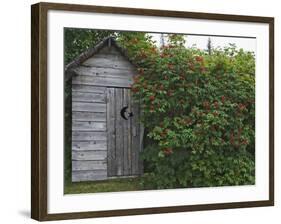 Outhouse Built in 1929 Surrounded by Blooming Elderberrys, Homer, Alaska, USA-Dennis Flaherty-Framed Photographic Print