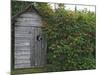 Outhouse Built in 1929 Surrounded by Blooming Elderberrys, Homer, Alaska, USA-Dennis Flaherty-Mounted Photographic Print