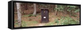Outhouse in a Forest, Adirondack Mountains, New York State, USA-null-Framed Stretched Canvas