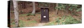 Outhouse in a Forest, Adirondack Mountains, New York State, USA-null-Stretched Canvas