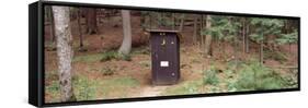 Outhouse in a Forest, Adirondack Mountains, New York State, USA-null-Framed Stretched Canvas