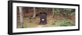 Outhouse in a Forest, Adirondack Mountains, New York State, USA-null-Framed Photographic Print