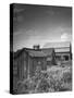 Outhouse Sitting Behind the Barn on a Farm-Bob Landry-Stretched Canvas