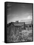 Outhouse Sitting Behind the Barn on a Farm-Bob Landry-Framed Stretched Canvas