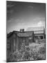 Outhouse Sitting Behind the Barn on a Farm-Bob Landry-Mounted Premium Photographic Print
