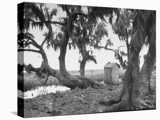 Outhouse Sitting in the Middle of the Woods-null-Stretched Canvas