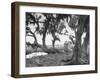 Outhouse Sitting in the Middle of the Woods-null-Framed Photographic Print