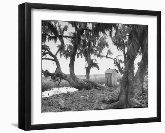 Outhouse Sitting in the Middle of the Woods-null-Framed Photographic Print