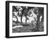 Outhouse Sitting in the Middle of the Woods-null-Framed Photographic Print