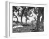 Outhouse Sitting in the Middle of the Woods-null-Framed Photographic Print