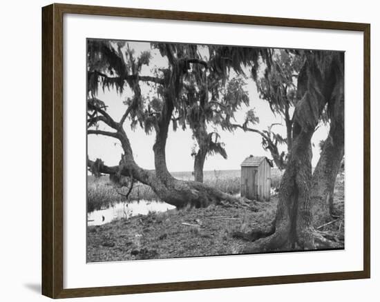 Outhouse Sitting in the Middle of the Woods-null-Framed Photographic Print