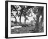 Outhouse Sitting in the Middle of the Woods-null-Framed Photographic Print