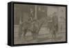 Outlaw And Bandit Queen Belle Starr-Roeder Brothers-Framed Stretched Canvas
