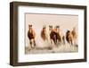 Outlaws-Lisa Dearing-Framed Photographic Print