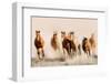 Outlaws-Lisa Dearing-Framed Photographic Print