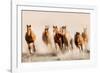 Outlaws-Lisa Dearing-Framed Photographic Print