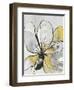 Outlined Floral II Yellow Version-Asia Jensen-Framed Art Print