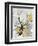 Outlined Floral II Yellow Version-Asia Jensen-Framed Art Print