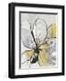 Outlined Floral II Yellow Version-Asia Jensen-Framed Art Print