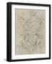 Outlined Leaves II-Asia Jensen-Framed Art Print