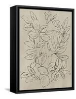 Outlined Leaves II-Asia Jensen-Framed Stretched Canvas