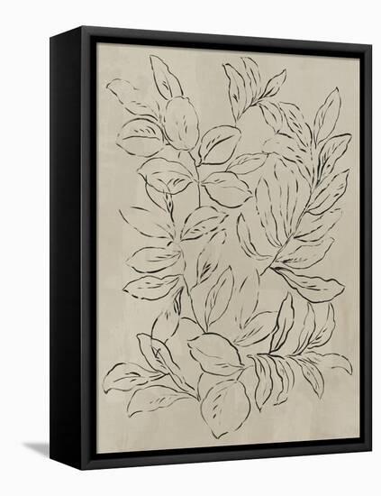 Outlined Leaves II-Asia Jensen-Framed Stretched Canvas