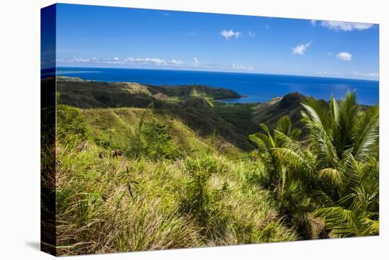 Outlook over Cetti River Valley in Guam, Us Territory, Central Pacific, Pacific-Michael Runkel-Stretched Canvas