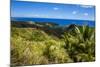 Outlook over Cetti River Valley in Guam, Us Territory, Central Pacific, Pacific-Michael Runkel-Mounted Photographic Print