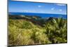 Outlook over Cetti River Valley in Guam, Us Territory, Central Pacific, Pacific-Michael Runkel-Mounted Photographic Print