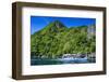Outrigger Boat Cruising in the Bay of El Nido, Bacuit Archipelago, Palawan, Philippines-Michael Runkel-Framed Photographic Print