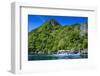 Outrigger Boat Cruising in the Bay of El Nido, Bacuit Archipelago, Palawan, Philippines-Michael Runkel-Framed Photographic Print