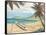 Outrigger Cove-Paul Brent-Framed Stretched Canvas