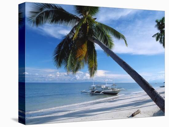 Outrigger Motorboat Moored on Alona Beach, Panglao, Bohol, Philippines-Jack Jackson-Stretched Canvas