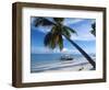 Outrigger Motorboat Moored on Alona Beach, Panglao, Bohol, Philippines-Jack Jackson-Framed Photographic Print