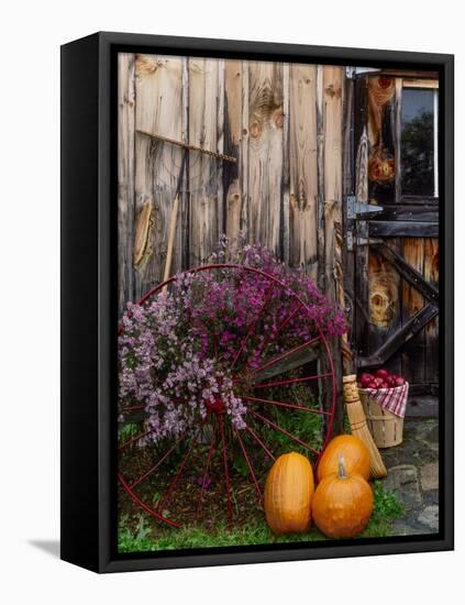 Outside barn in autumn at Drury Place. Weston, Vermont, USA-Scott T^ Smith-Framed Stretched Canvas