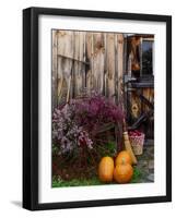 Outside barn in autumn at Drury Place. Weston, Vermont, USA-Scott T^ Smith-Framed Photographic Print