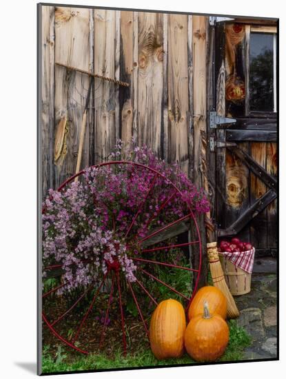 Outside barn in autumn at Drury Place. Weston, Vermont, USA-Scott T^ Smith-Mounted Photographic Print