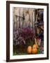 Outside barn in autumn at Drury Place. Weston, Vermont, USA-Scott T^ Smith-Framed Photographic Print