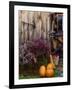 Outside barn in autumn at Drury Place. Weston, Vermont, USA-Scott T^ Smith-Framed Photographic Print