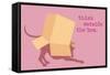 Outside Box - Pink Version-Dog is Good-Framed Stretched Canvas